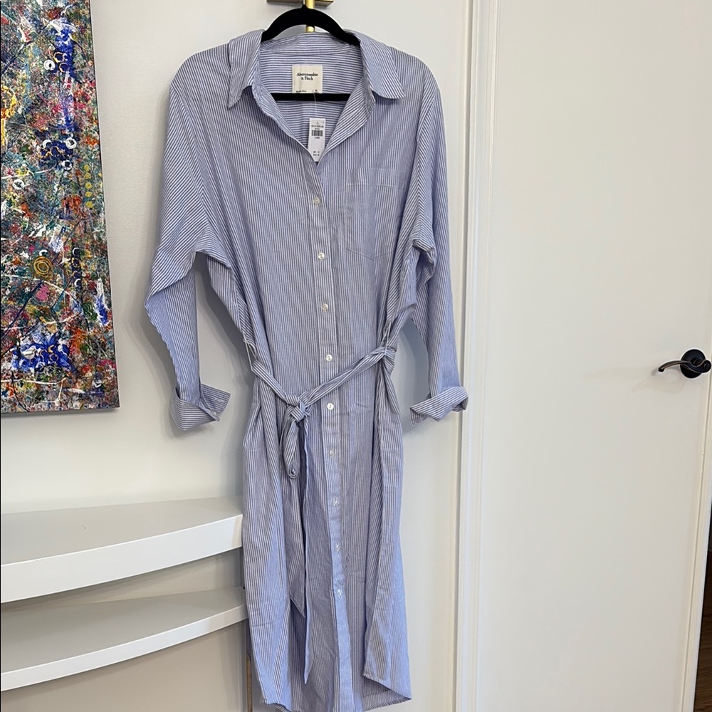 Abercrombie & Fitch Light Blue and White Striped Shirt Dress